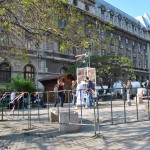 ridicarea cobinei