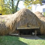 DSC_1229 DSC_1229