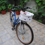 bicicleta2 bicicleta2