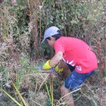 IMG_3701 IMG_3701