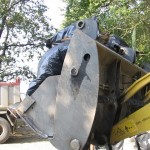 IMG_3719 IMG_3719