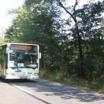 IMG_3788 IMG_3788