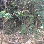 IMG_3814 IMG_3814