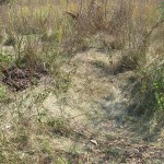 IMG_3817 IMG_3817
