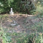 IMG_3822 IMG_3822